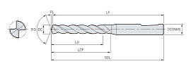 HSD-B(3D)
