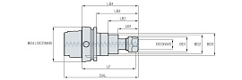 HSK-DST
