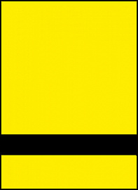 Textures 842-774 (Желтый / Черный)
