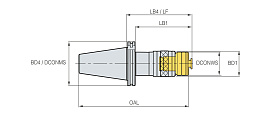 BT-DTN