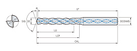 HSDH(5D)