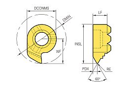 NFTTR/L
