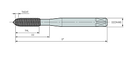 SVFOM