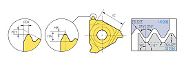 ER/L-BSPT