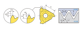 ER/L-NPT