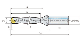TPDC(5D)
