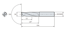 MSFD-2P