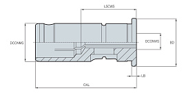 DCL