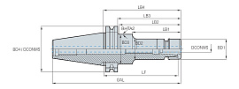 SK-GSK