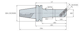 BT-BSA